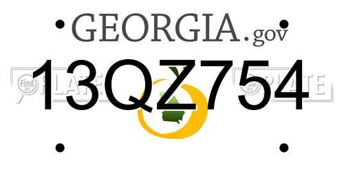13QZ754 Georgia License Plate