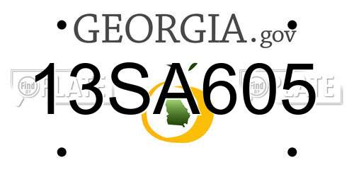 13SA605 Georgia License Plate