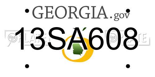 13SA608 Georgia License Plate