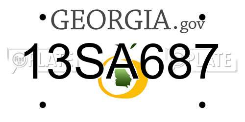13SA687 Georgia License Plate