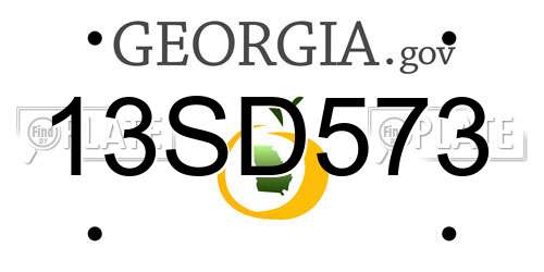 13SD573 Georgia License Plate