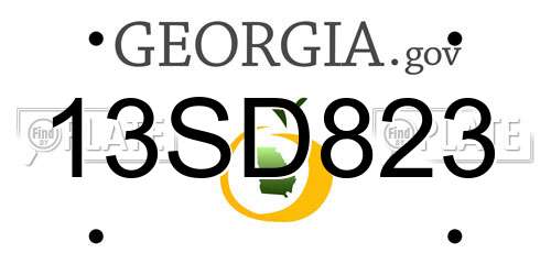 13SD823 Georgia License Plate