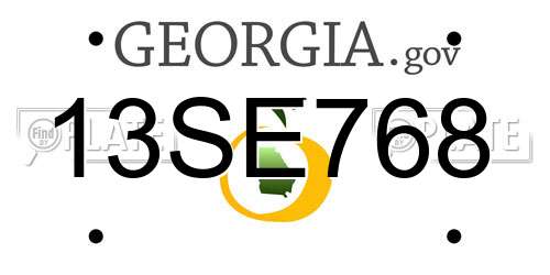 13SE768 Georgia License Plate