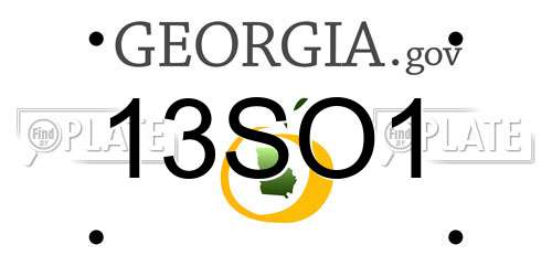 13SO1 Georgia License Plate