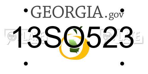 13SO523 Georgia License Plate