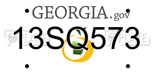 13SQ573 Georgia License Plate