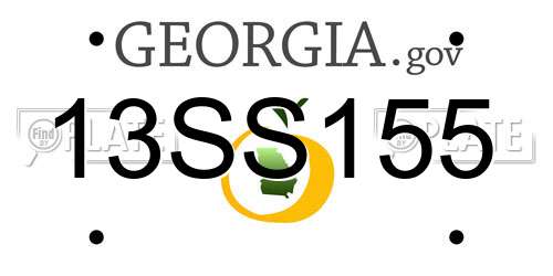 13SS155 Georgia License Plate