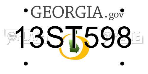 13ST598 Georgia License Plate