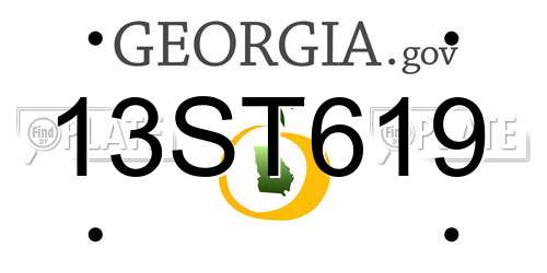 13ST619 Georgia License Plate