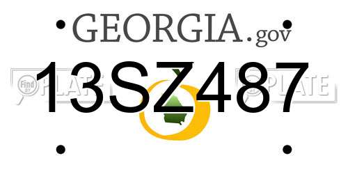 13SZ487 Georgia License Plate
