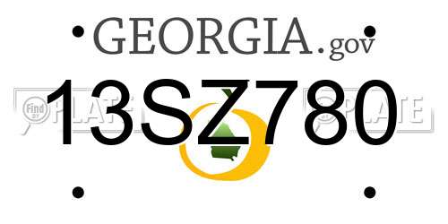 13SZ780 Georgia License Plate
