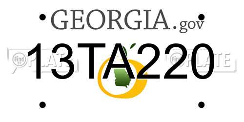 13TA220 Georgia License Plate