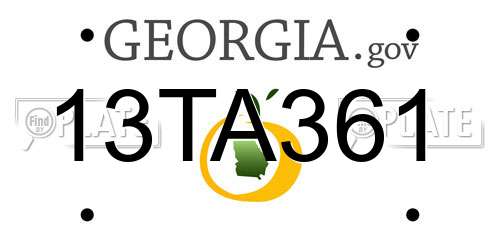 13TA361 Georgia License Plate
