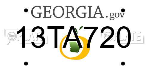 13TA720 Georgia License Plate