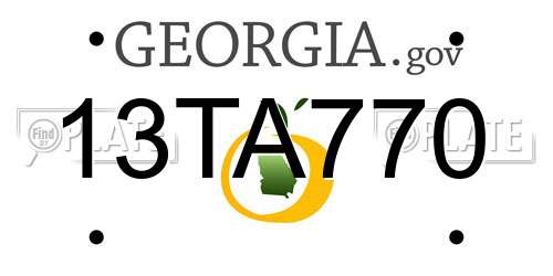 13TA770 Georgia License Plate