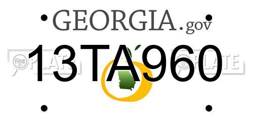13TA960 Georgia License Plate