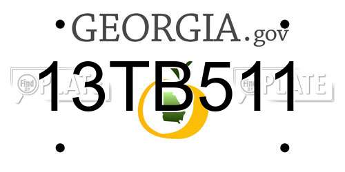 13TB511 Georgia License Plate