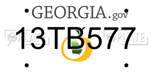13TB577 Georgia License Plate