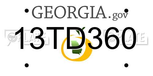 13TD360 Georgia License Plate