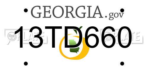 13TD660 Georgia License Plate