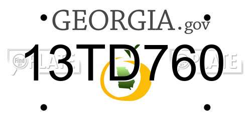 13TD760 Georgia License Plate