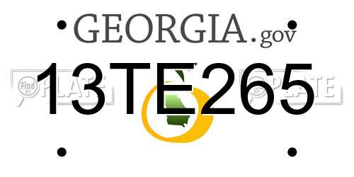 13TE265 Georgia License Plate