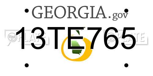 13TE765 Georgia License Plate