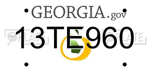 13TE960 Georgia License Plate