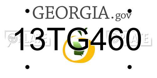 13TG460 Georgia License Plate