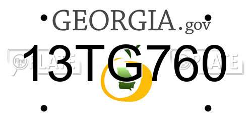 13TG760 Georgia License Plate