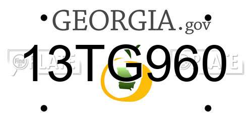 13TG960 Georgia License Plate