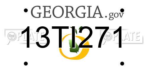 13TI271 Georgia License Plate