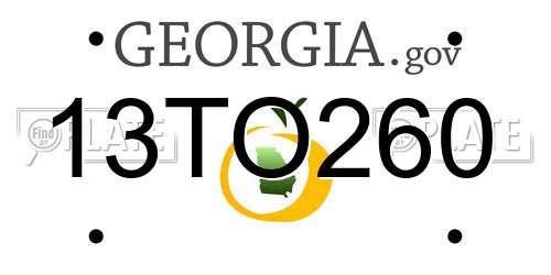 13TO260 Georgia License Plate