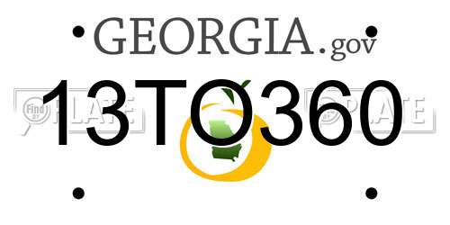 13TO360 Georgia License Plate