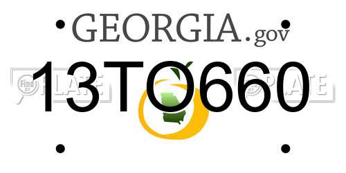 13TO660 Georgia License Plate