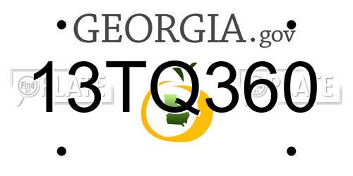 13TQ360 Georgia License Plate