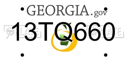 13TQ660 Georgia License Plate