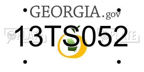13TS052 Georgia License Plate