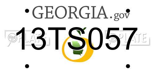 13TS057 Georgia License Plate