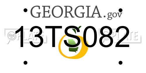 13TS082 Georgia License Plate