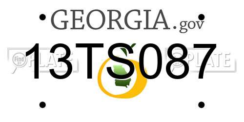 13TS087 Georgia License Plate