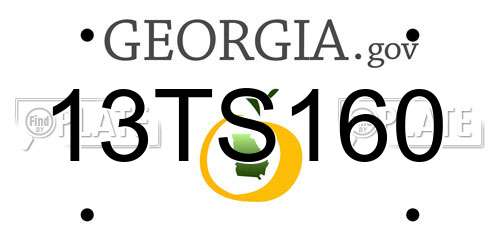 13TS160 Georgia License Plate