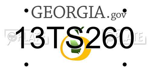 13TS260 Georgia License Plate