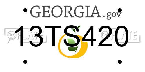 13TS420 Georgia License Plate