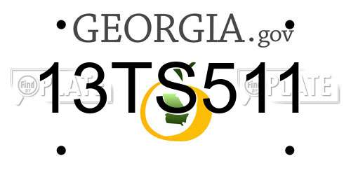 13TS511 Georgia License Plate