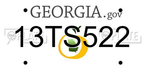 13TS522 Georgia License Plate
