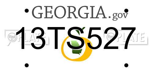 13TS527 Georgia License Plate