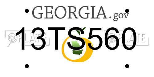 13TS560 Georgia License Plate