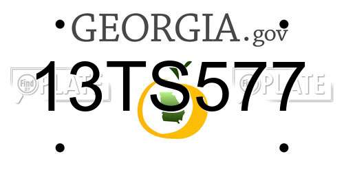 13TS577 Georgia License Plate