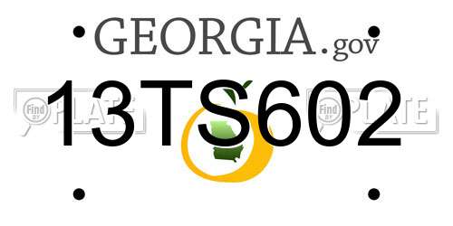 13TS602 Georgia License Plate